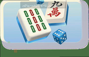 每天一条精选资讯